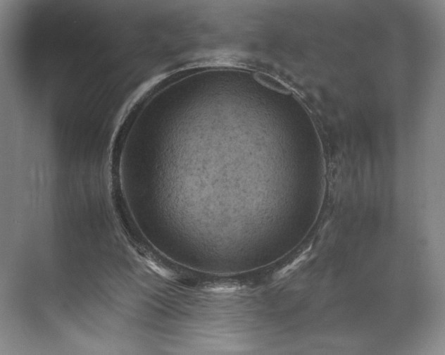 X0000071950200200607141507