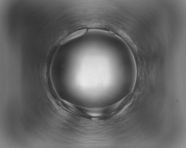 X0000071950201200607141507