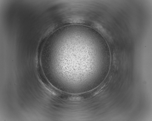 X0000071950202200607141507