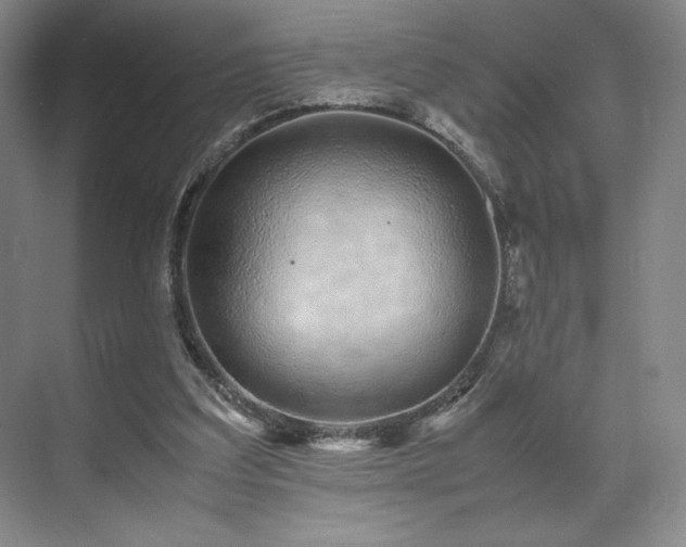 X0000071950203200607141507