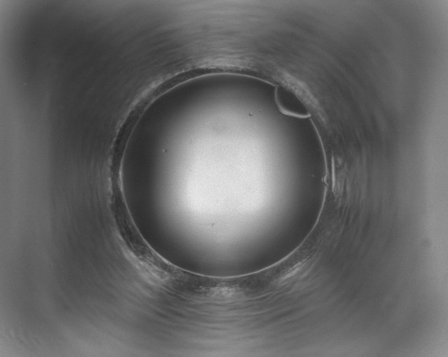 X0000071950204200607141507