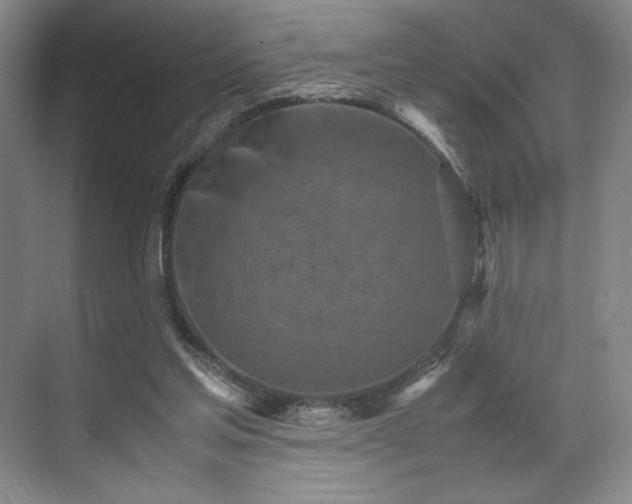 X0000071950205200607141507