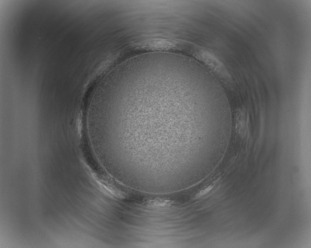 X0000071950206200607141507