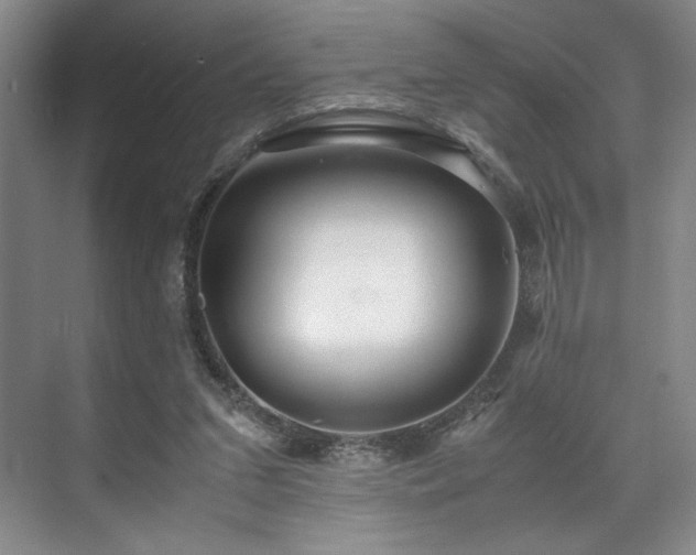 X0000071950207200607141507