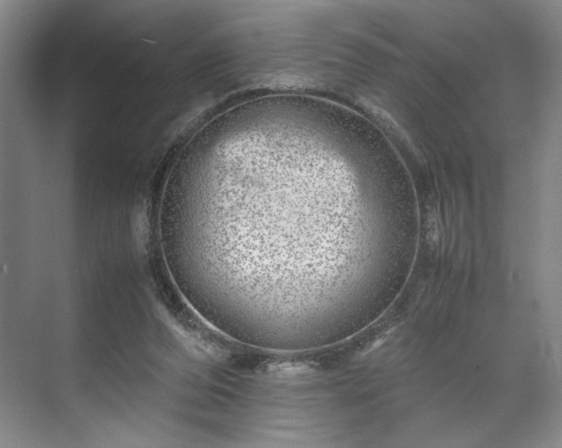 X0000071950208200607141507