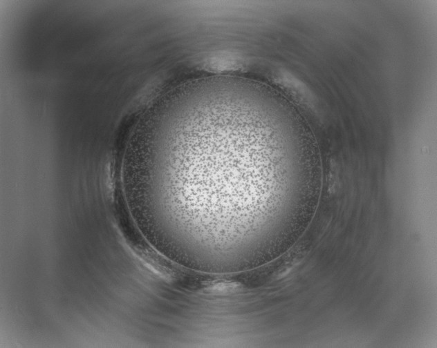 X0000071950210200607141507