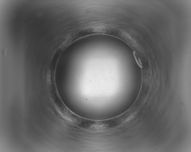 X0000071950213200607141507