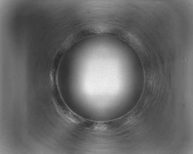 X0000071950214200607141507