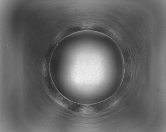 X0000071950215200607141507