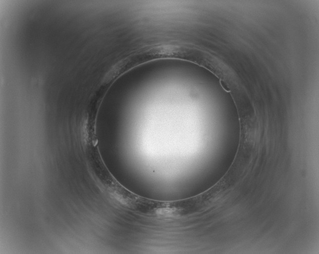 X0000071950216200607141507