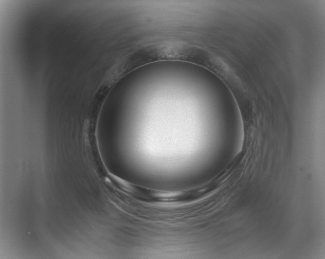 X0000071950217200607141507