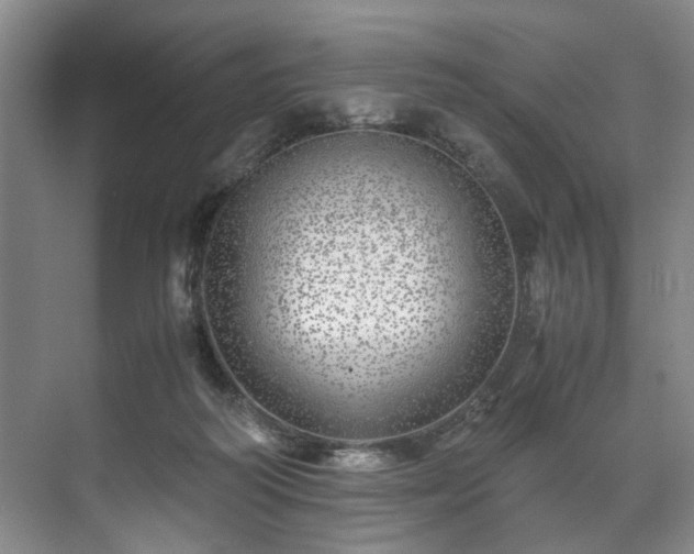 X0000071950218200607141507