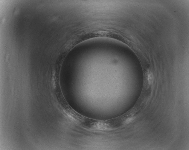 X0000071950223200607141507