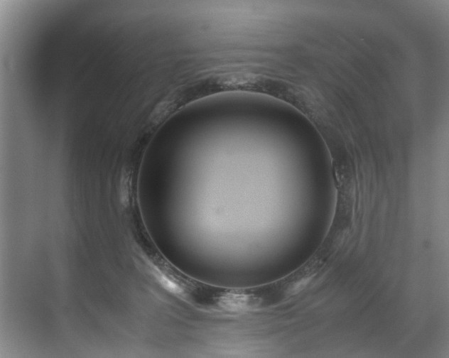 X0000071950227200607141507