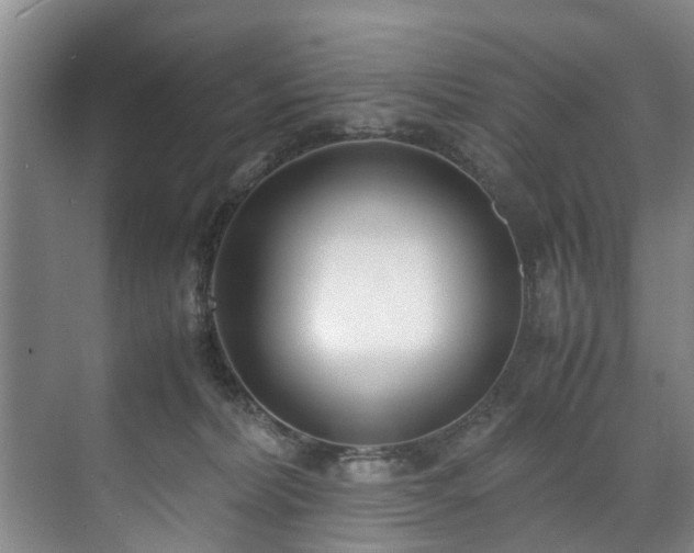 X0000071950228200607141507