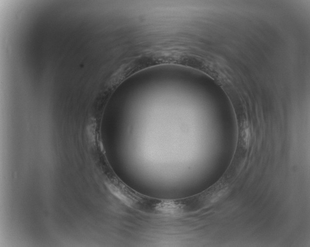 X0000071950231200607141507