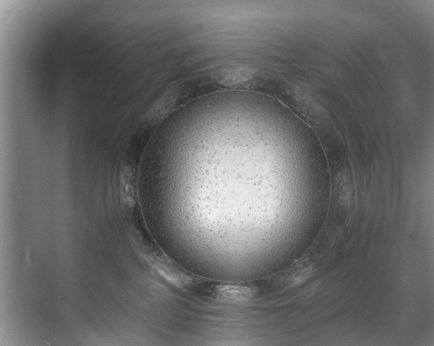 X0000071950234200607141507