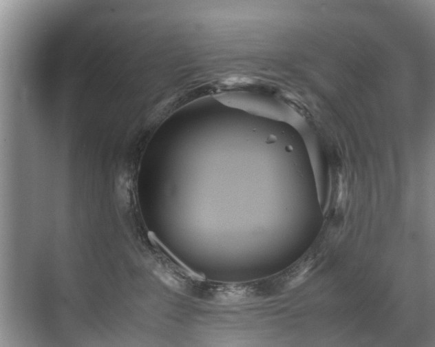 X0000071950235200607141507