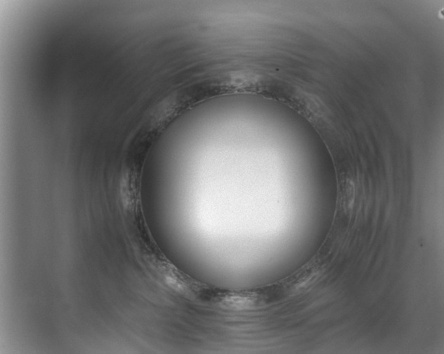 X0000071950236200607141507