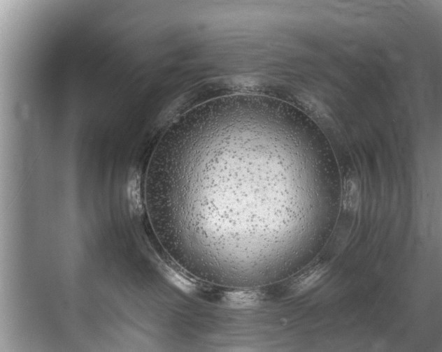 X0000071950238200607141507