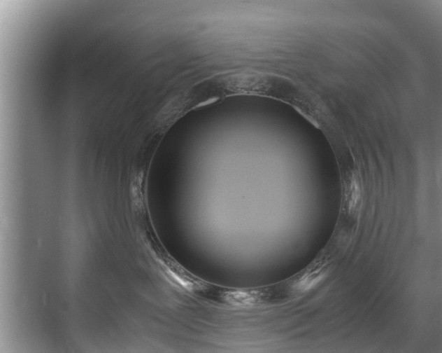 X0000071950239200607141507