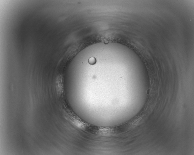 X0000071950240200607141507