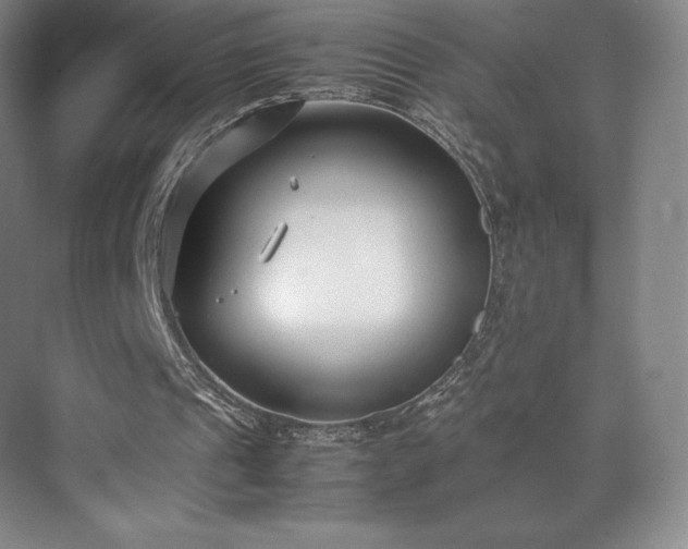 X0000071950241200607141506