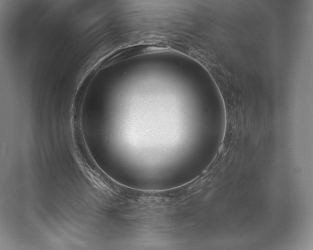 X0000071950242200607141506