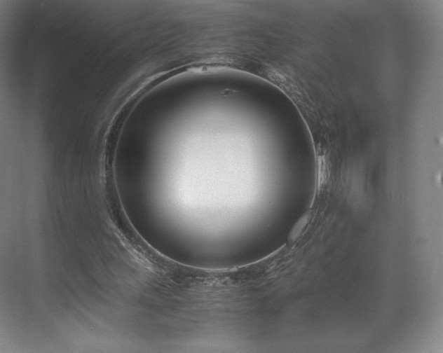 X0000071950243200607141506