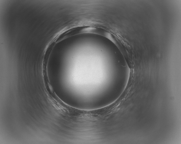 X0000071950244200607141506