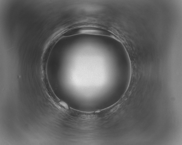 X0000071950245200607141506