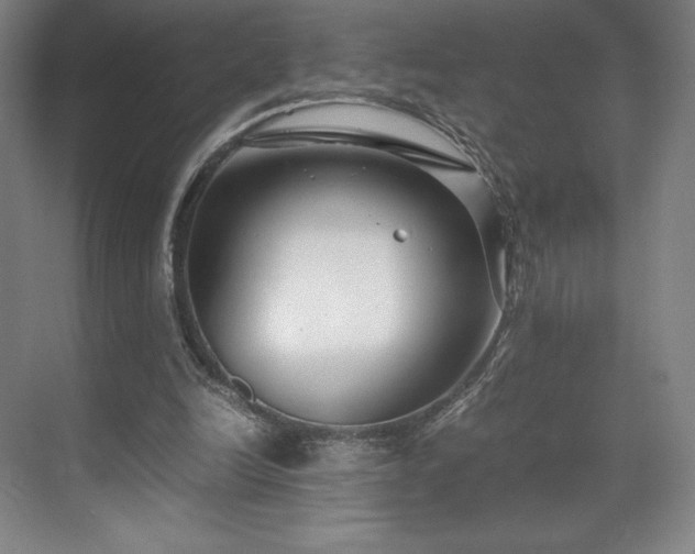 X0000071950246200607141506