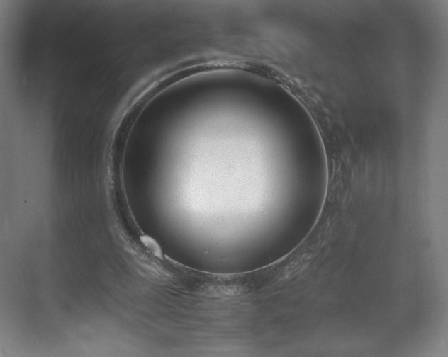 X0000071950247200607141506