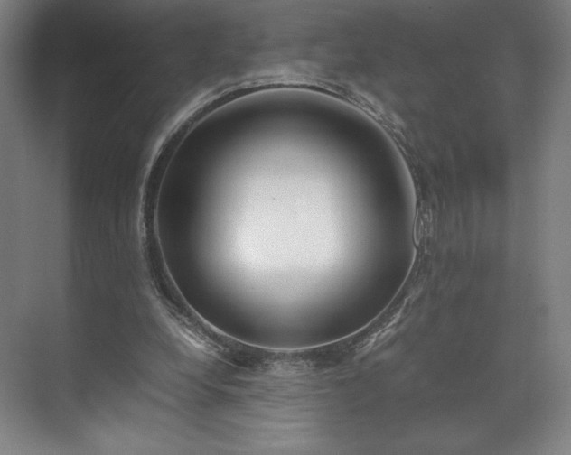 X0000071950248200607141506