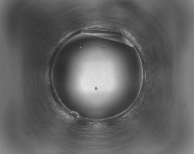 X0000071950249200607141506