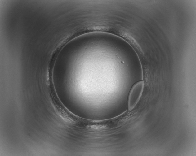 X0000071950251200607141506