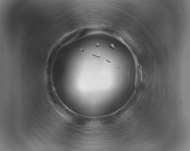 X0000071950252200607141506