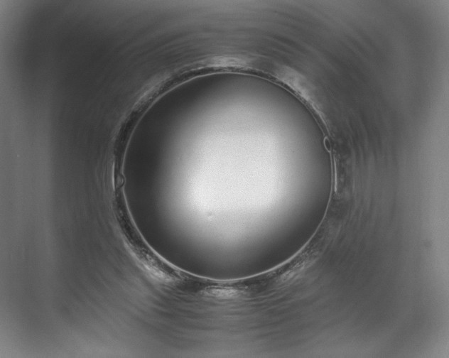 X0000071950253200607141506