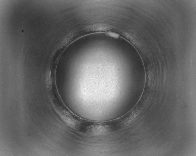 X0000071950254200607141506