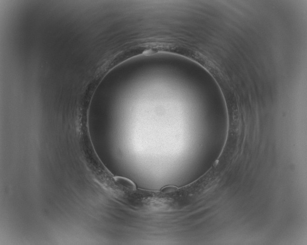 X0000071950255200607141506