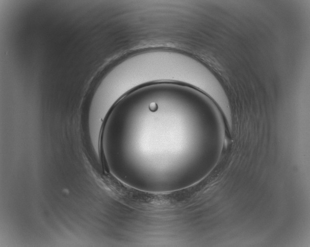 X0000071950256200607141506