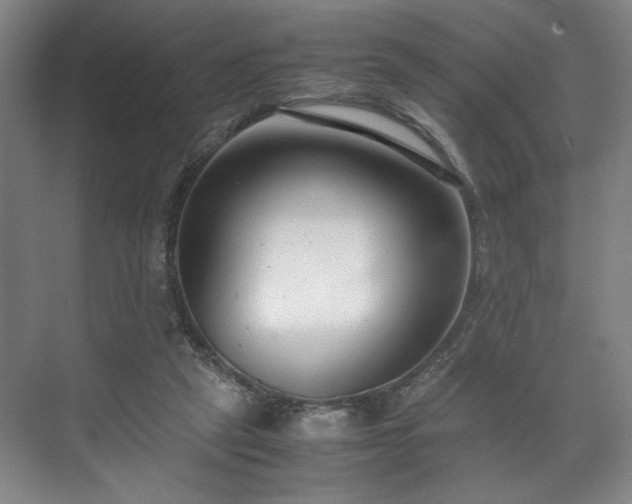 X0000071950257200607141506