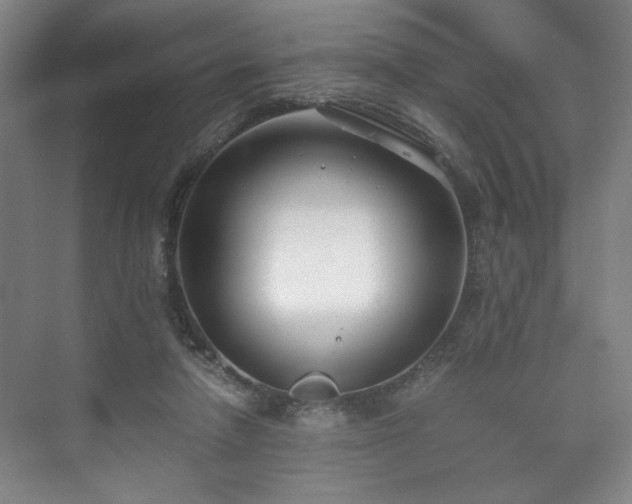 X0000071950258200607141506