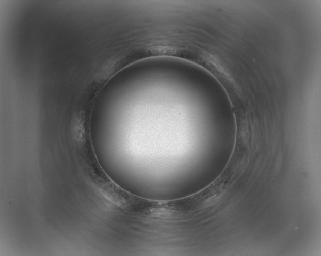 X0000071950259200607141506