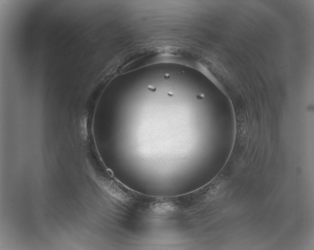 X0000071950262200607141506