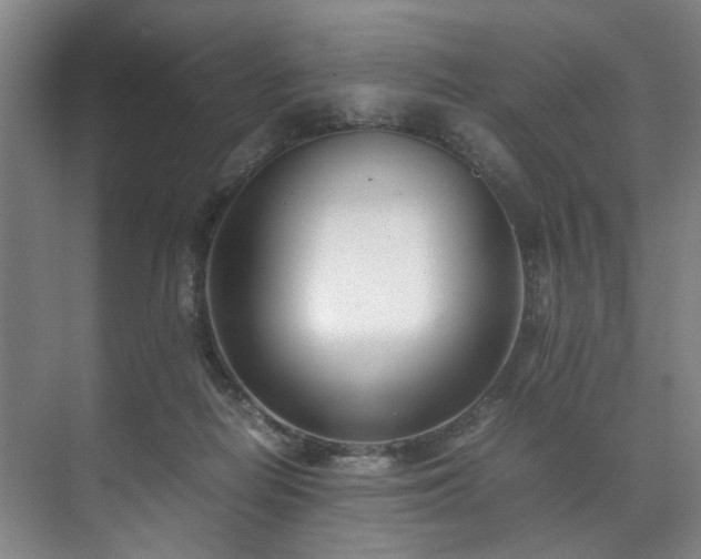 X0000071950266200607141506