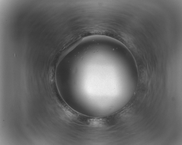 X0000071950273200607141507