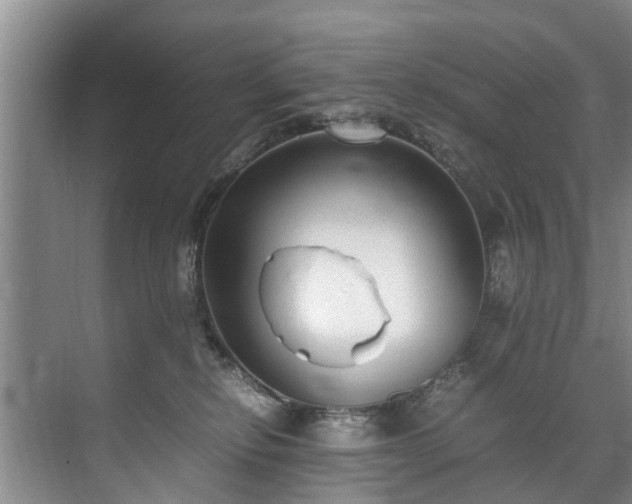 X0000071950278200607141507