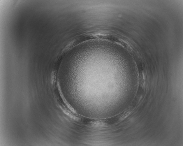 X0000071950284200607141507