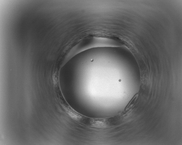 X0000071950285200607141507